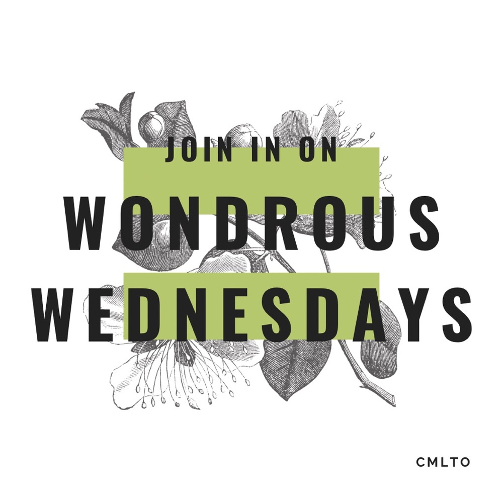 WONDROUS WEDNESDAYS
